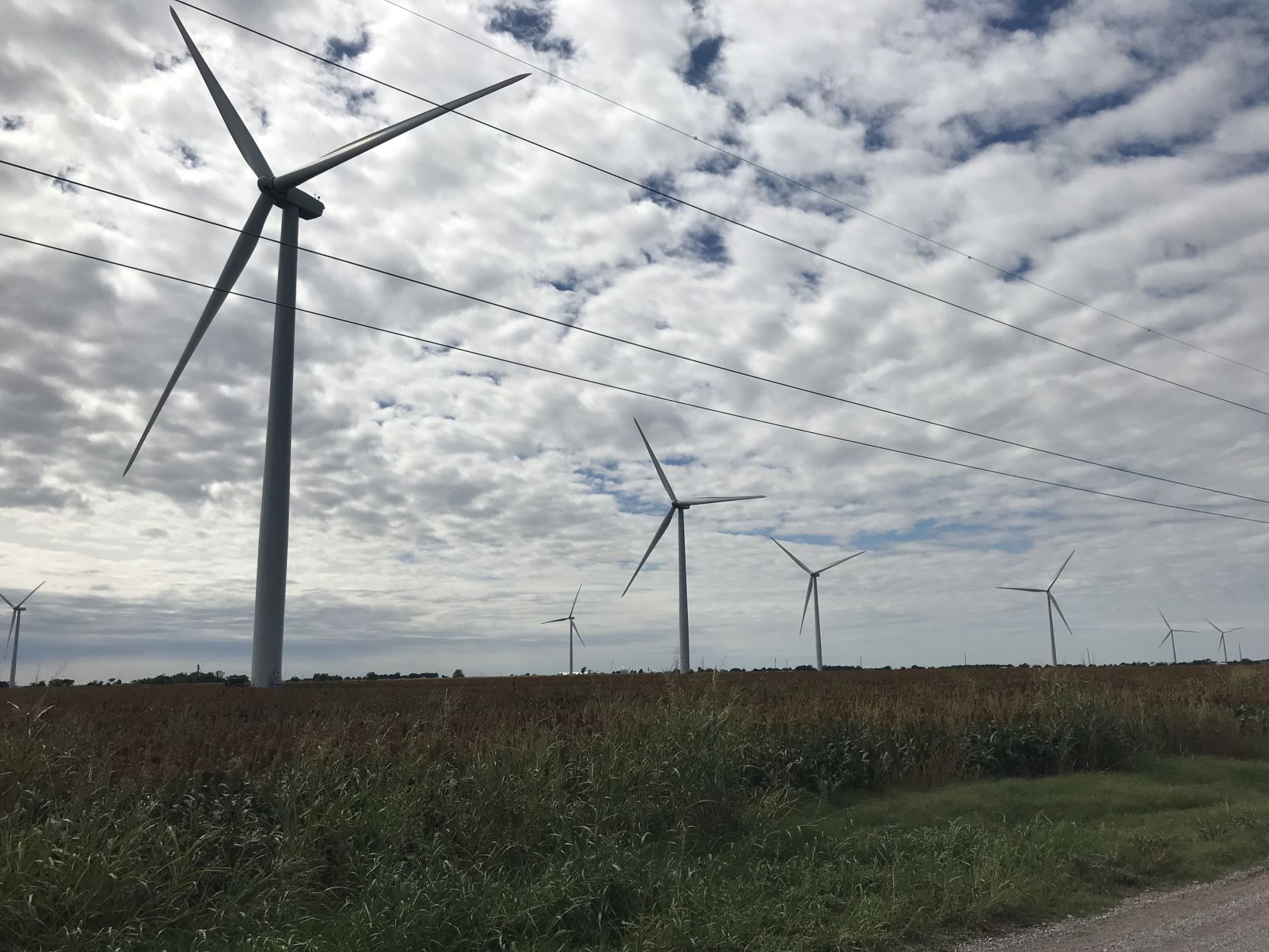 Wind